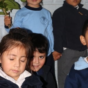 Celebración de Ramos